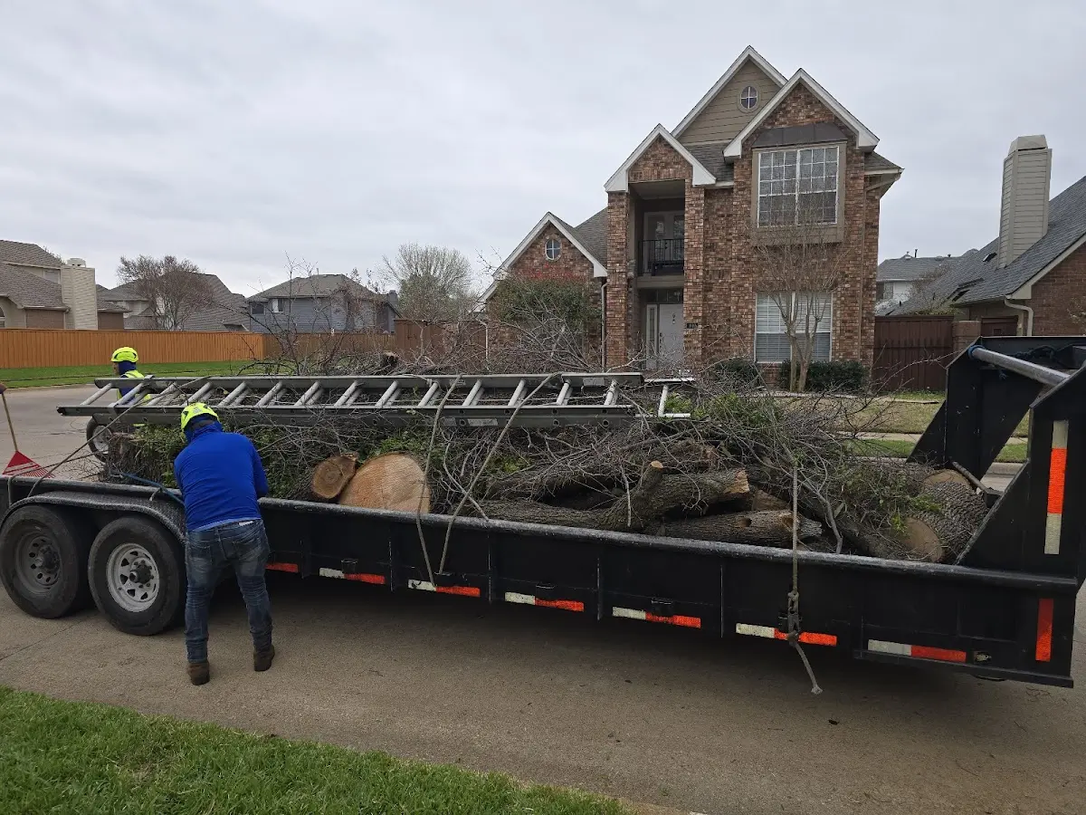 Expert Lot Clearing with proper safety equipment in Turton